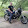 Kareen Edgley Kareen Edgley's profile photo