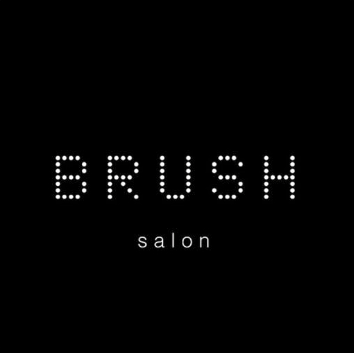 Brush Salon logo