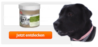 Nasenerkrankung Hund - Zum Produkt...