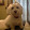 Mireia P. Mireia P.'s profile photo