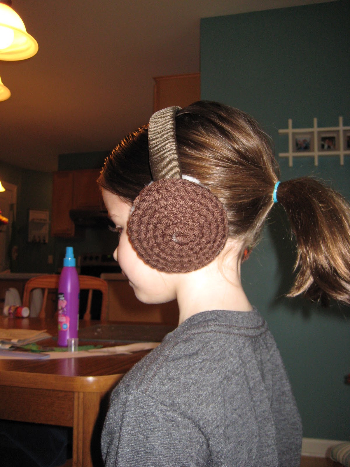 11 Spring Street Diy Princess Leia Hair