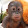 argentumsound argentumsound's profile photo