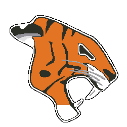 Tiger Excavating Ltd logo