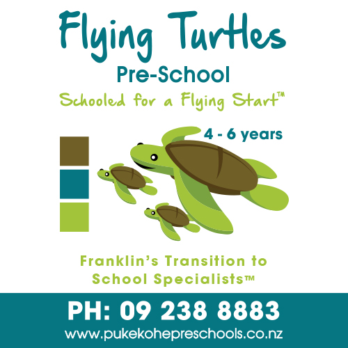 Pukekohe Preschools logo