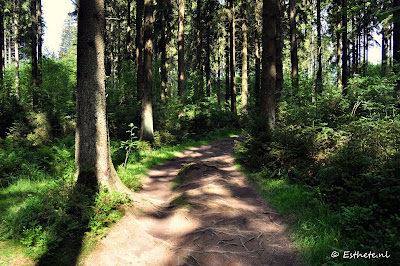 We gingen wandelen
