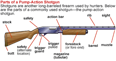 Partes de un arma y municion. Nivel basico Gun_parts_shotgun1