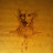 Rick Royal avatar image