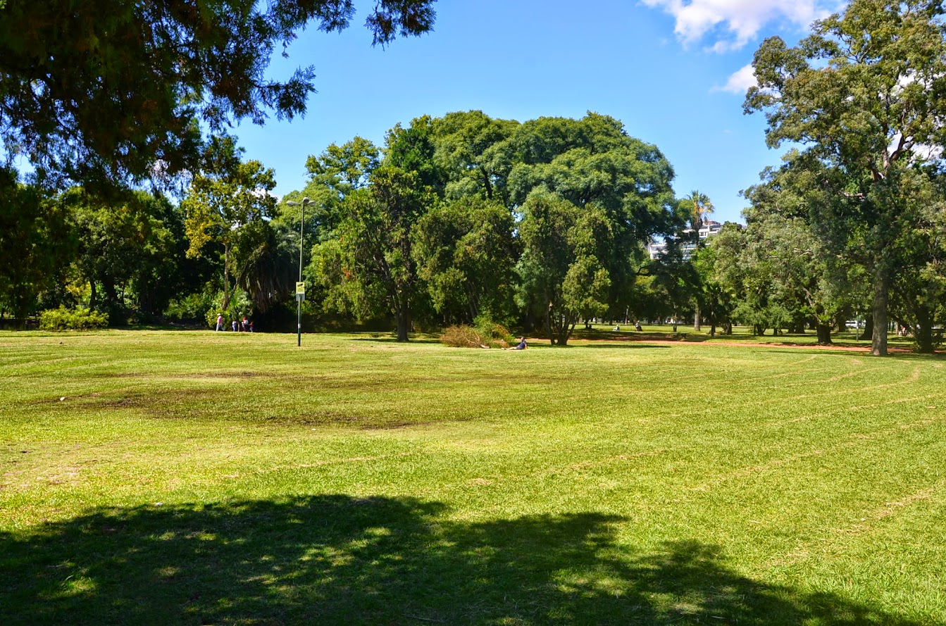 DSC_8358.JPG
