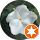Testimonial-MatBao