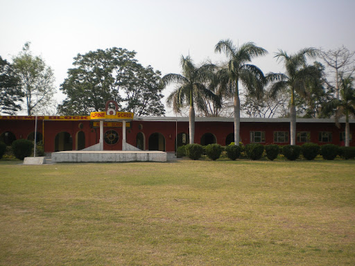 Alpine School, P.O.C.R.P.F, Bhawana, Pinjore, Haryana 134104, India, Boarding_School, state HR