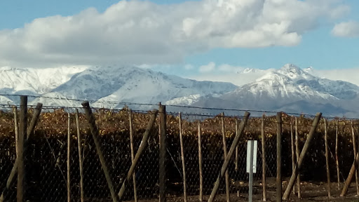 asadoresycopas.cl, Gral del Canto 595, Los Andes, San Felipe, Región de Valparaíso, Chile, Planificador de eventos | Valparaíso