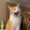 Brianna Fan Brianna Fan's profile photo