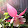 Christina Meyer Christina Meyer's profile photo