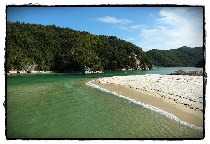 Abel Tasman NP - Te Wai Pounamu, verde y azul (Nueva Zelanda isla Sur) (5)