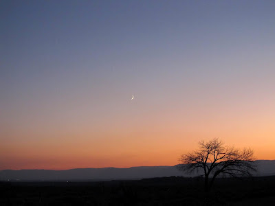 Crescent moon at twilight