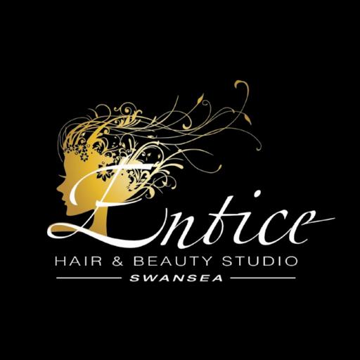 Entice Hair Studio Swansea logo