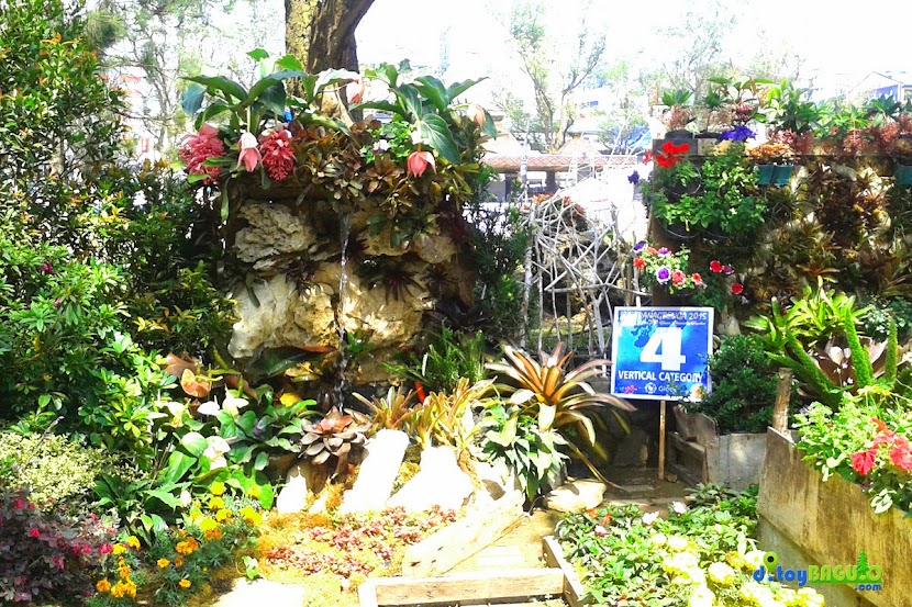 2015 Panagbenga Flower Festival - Picture 3
