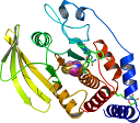 2CMC oriented towards pocket containing cysteine molecule 2CMC oriented towards pocket containing cysteine molecule