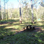 Basin campsite with open clearing and picnic tables (58880)