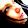 Nikki Finn Nikki Finn's profile photo