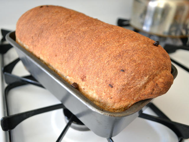 baked bread in pan 