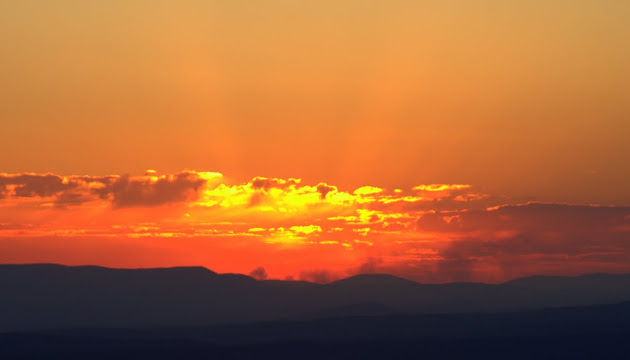 Cover photo