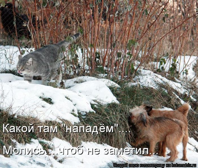 Ни дня без улыбки. Если вовремя надеть противогаз — то смерть наступит не сразу... Ни дня без улыбки. Если вовремя надеть противогаз — то смерть наступит не сразу...