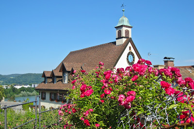 Laufenburg Blütenpracht in verwinkelten Altstadtgassen, dahinter das Rathaus von Laufenburg (Baden)
