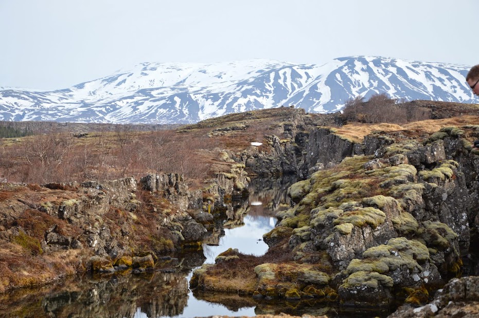 ISLANDIA POR LOSFRATI - Blogs de Islandia - REYKJAVIK Y GOLDEN CIRCLE (6)