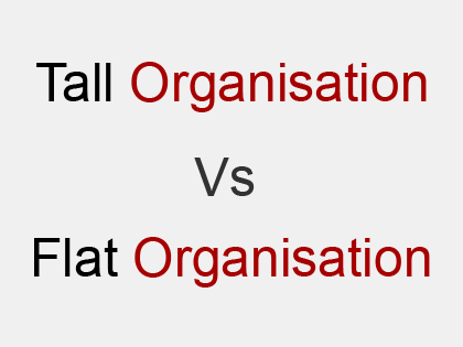 Difference Between Tall and Flat Organisation Structure