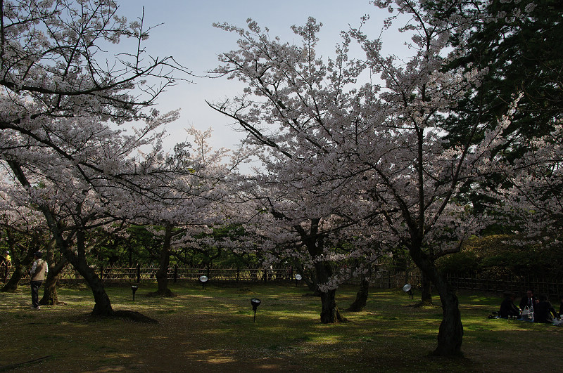 日本行