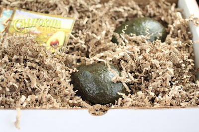 photo of avocados in a box
