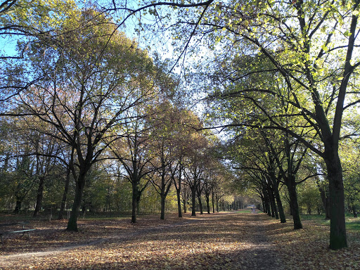Bois de Vincennes