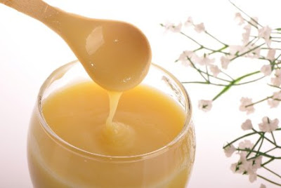 sữa ong chúa tươi sữa ong chúa tươi