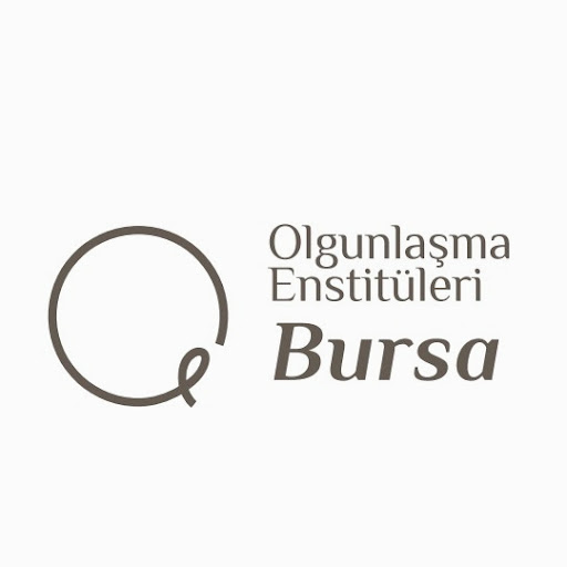 Bursa Olgunlaşma Enstitüsü El Nakışları Sanat Evi logo