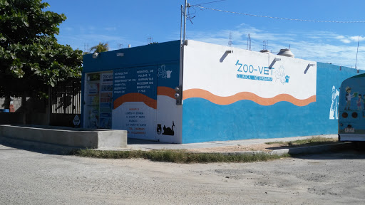ZOO VET, Calle V. Gómez Farias 3996, Las Arboledas, 23060 La Paz, B.C.S., México, Veterinario | BCS
