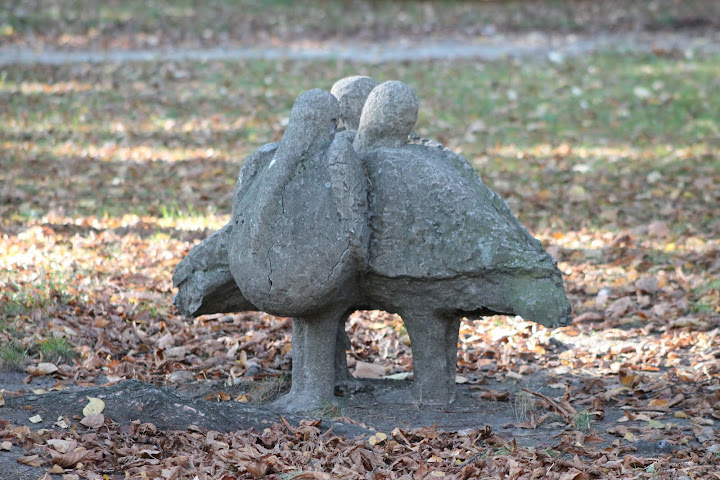 Pelikany - Stare Zoo Poznań.