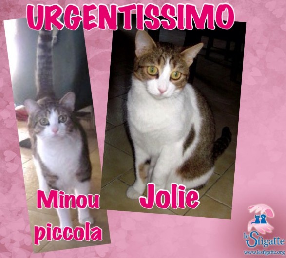 Minou Jolie