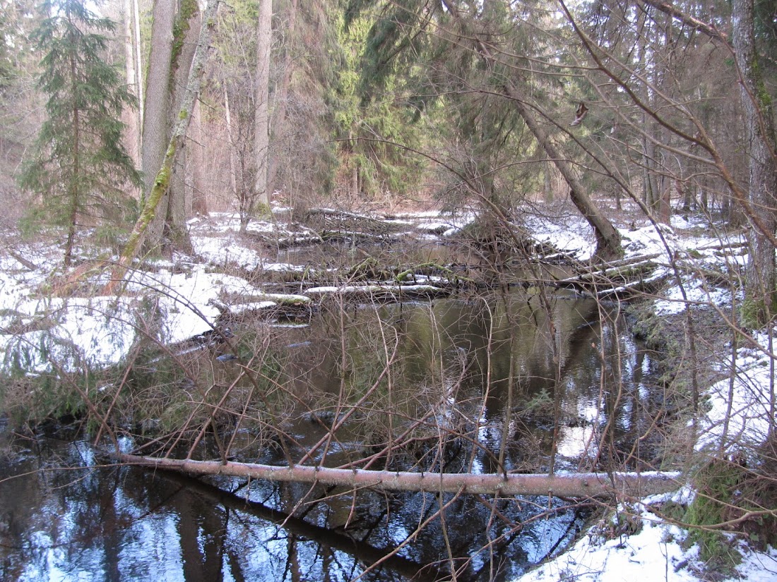 Paveikslėlis