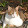 christian blondet christian blondet's profile photo