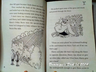 From the Super Soccer Boy Book