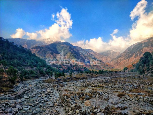 Saurav Van Vihar Palampur - Solo Travel in India