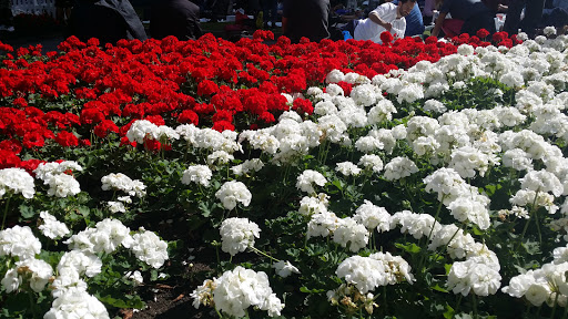 Canada Square Park