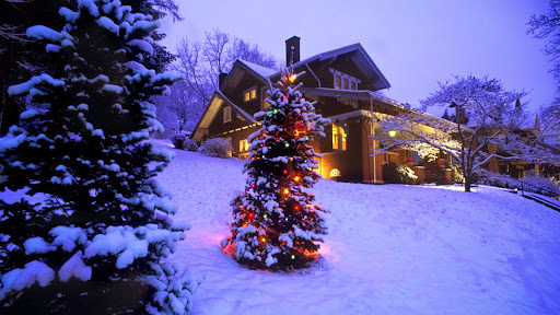 Snow Covered Christmas Tree, Brookville Historic District, Pennsylvania.jpg