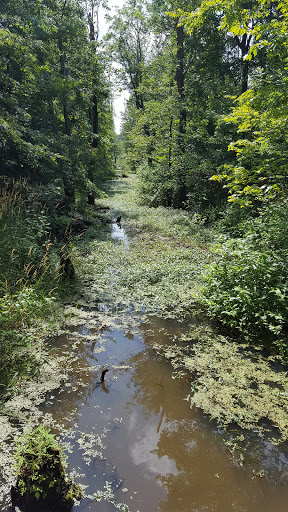 Nature Preserve «Beanblossom Bottoms Nature Preserve - Sycamore Land Trust», reviews and photos, N Woodall Rd, Ellettsville, IN 47429, USA