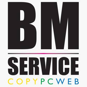 BM Service Srl logo