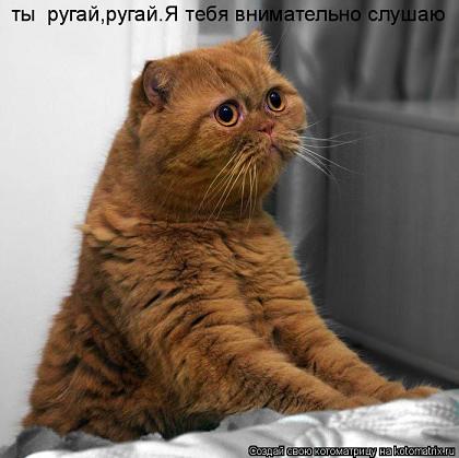 Ни дня без улыбки. Немного о наших, любимых… Ни дня без улыбки. Немного о наших, любимых…