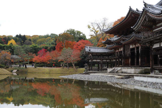 紅葉 宇治 平等院 2