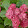 Nelly M Nelly M's profile photo