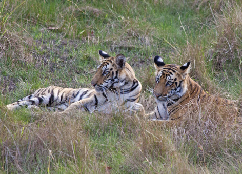 view Rhea Ramji's profile